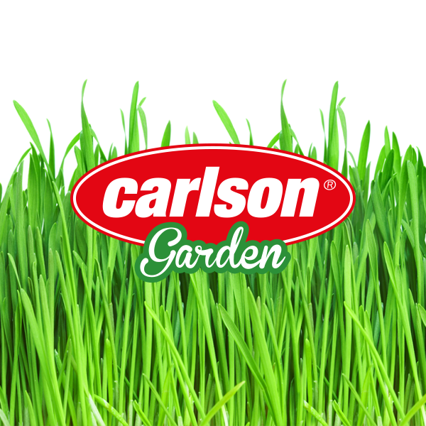 Carlson